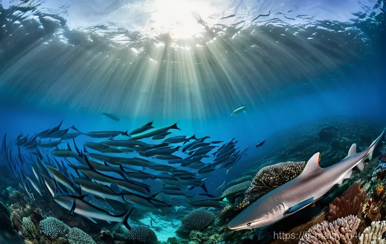 말레이시아 다이버를 위한 다이빙 포인트 - **Sipadan's Barracuda Tornado:**
"An epic wide-angle underwater photograph capturing the breatht...